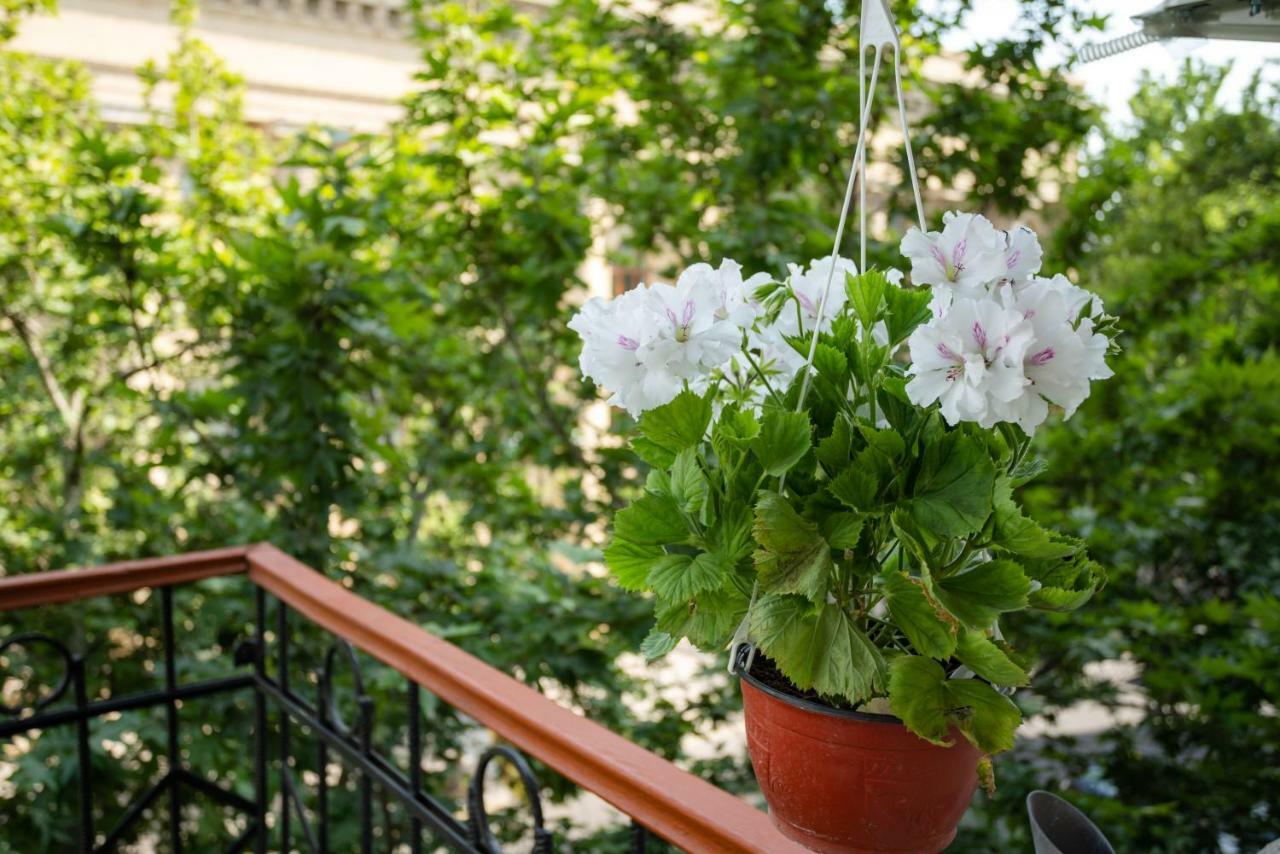 Boutique Hotel Avenue Μπακού Εξωτερικό φωτογραφία